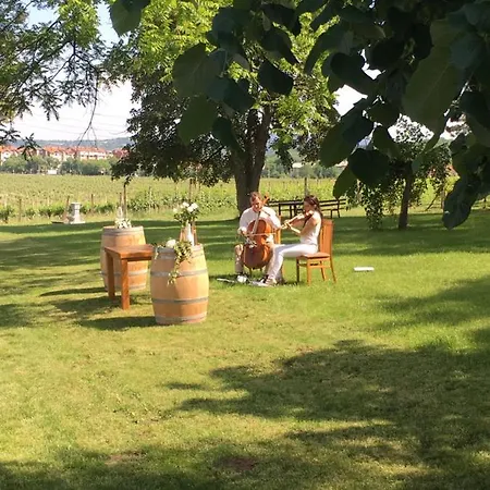 Winehouse Hotel Jagodina